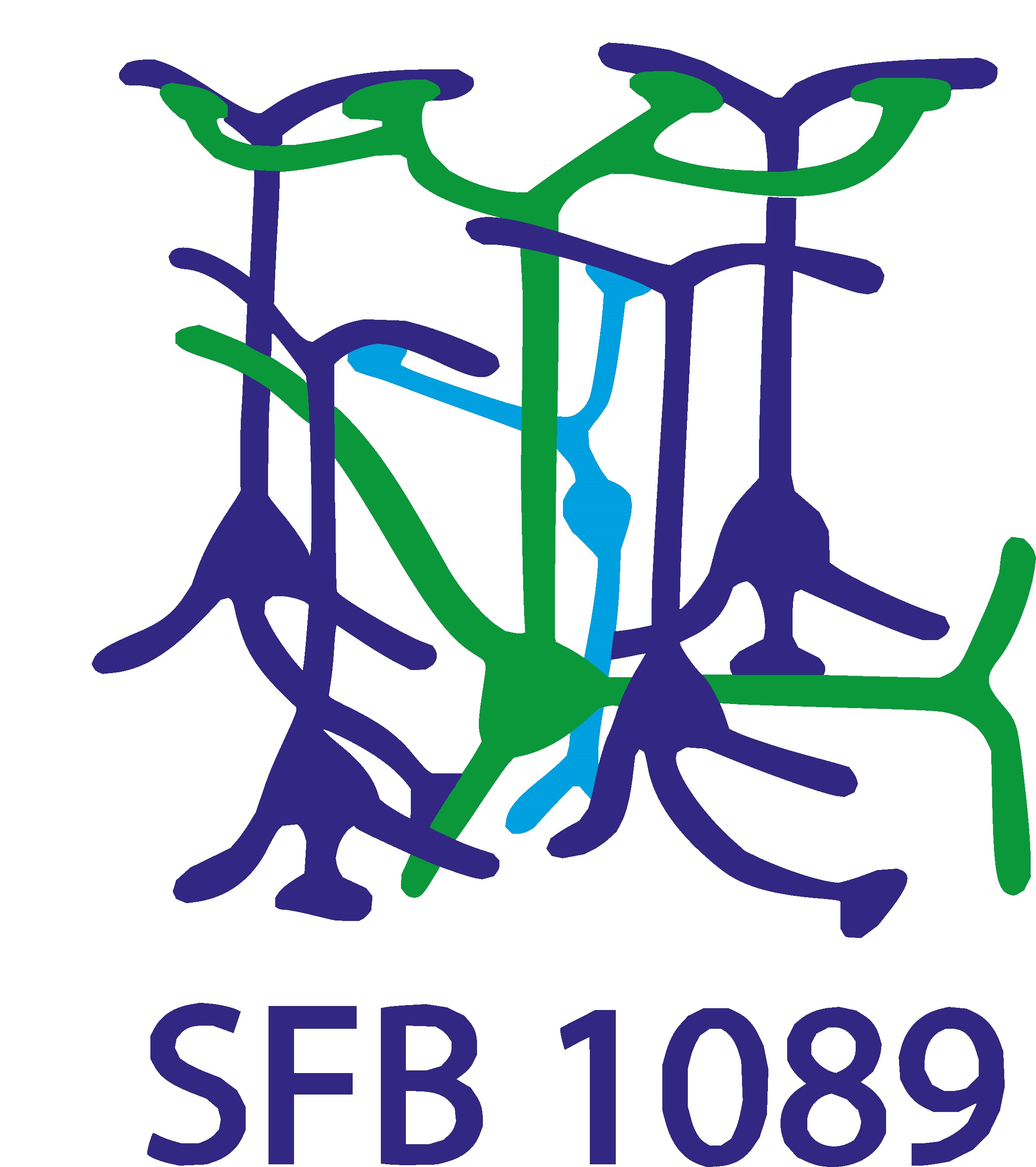 SFB1089 logo